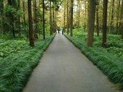 android_upload_pic-上海怡沁园度假酒店