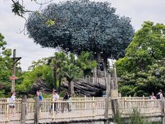 -巴黎迪士尼乐园