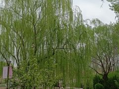 -元大都城垣遗址公园