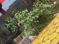 -诸暨市岭北镇仕新农庄