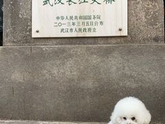 -武汉长江大桥