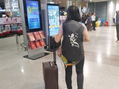 -胡志明新山一国际机场