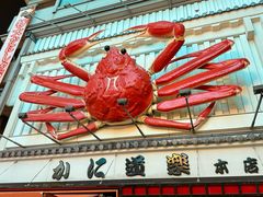 -蟹道乐(道顿堀本店)