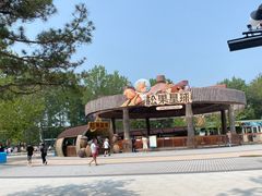 -南戴河国际娱乐中心