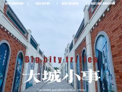 -王借岗森林公园