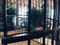 -深圳东部华侨城茵特拉根酒店