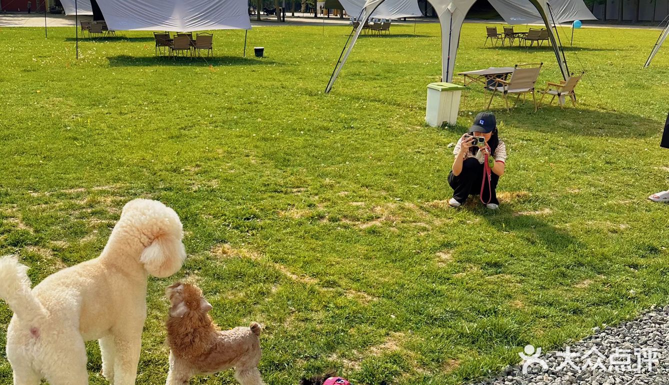 北京宠物友好咖啡厅