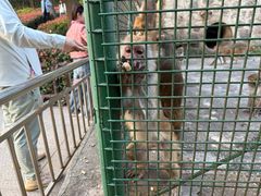 -南京金牛湖风景区