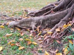 -人民公园(罗湖区)