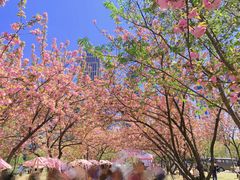 -西北湖绿化广场