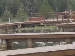 -东郊湿地公园