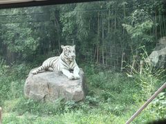 -郑州银基国际旅游度假区
