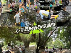 -成都市活水公园