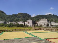 -高荡千年布依古寨旅游景区