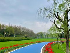 -宜兴龙背山森林公园