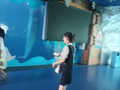 -秦皇岛乐岛海洋王国