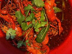 -红辣椒·川菜·火锅(张杨路店)