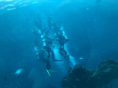 -海棠湾洲际-涛·海底餐厅·美人鱼·自助餐·海底隧道