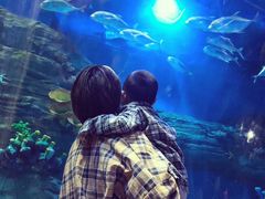 -华夏文旅海洋公园