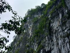 -百色大石围天坑群