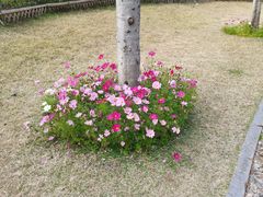 -牛岗山公园
