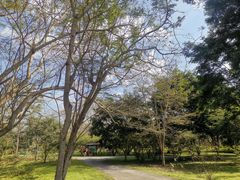 -中国科学院西双版纳热带植物园