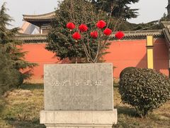-法门文化景区