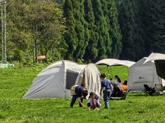 -武陵山森林公园