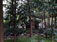 -成都市活水公园