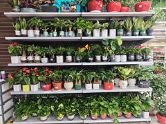 -大润发(康桥店)