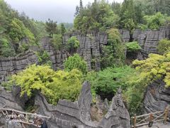 -梭布垭石林景区