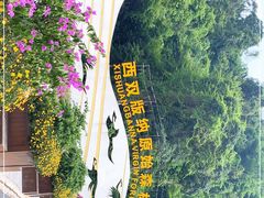 -西双版纳原始森林公园