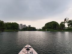 -新江湾城公园
