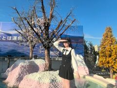 -Blue Concept Cafe&Farm·關於藍