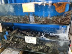 -蚝专家(北滘店)