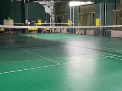 -东丽温泉羽毛球