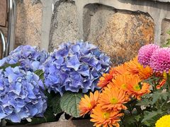 -三忘湖 SWANSEEN(柳荫公园店)