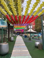 -萌宠亲子动物乐园(槐房万达店)