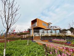 -川南大草原