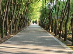 -同里国家湿地公园