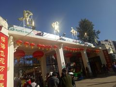 -昆明动物园