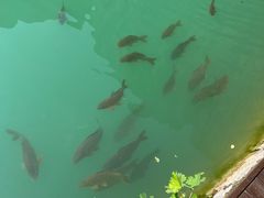 -山西通天峡景区