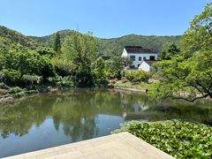 -树山生态村