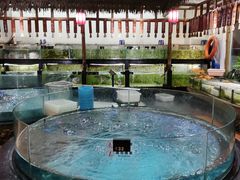 -渔乐里(智荟城店)