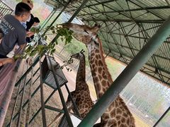 -秦皇岛野生动物园