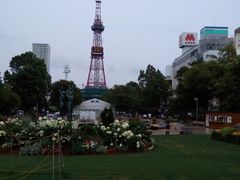 -大通公园