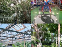 -南宫五洲植物乐园