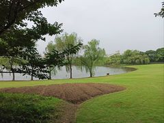 -黄兴公园