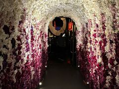 -Hakkasan Restaurant Las Vegas