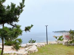 -海岛日记(养马岛店)